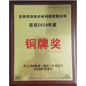 2024年度铜牌奖